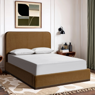 Rava Velvet Upholstered Bed