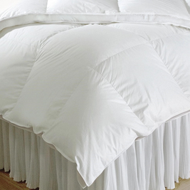 Regency Down Winter Comforter