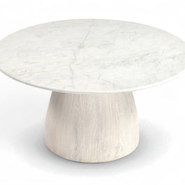 Liona Coffee Table