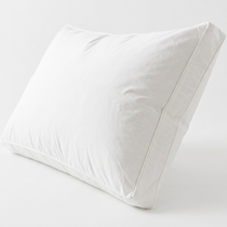 Princess Alexis Pillow