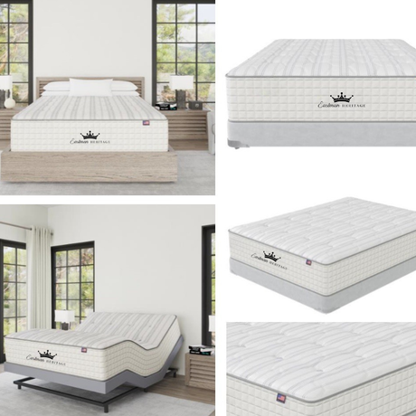 Lifetime Hybrid Luxury Plush