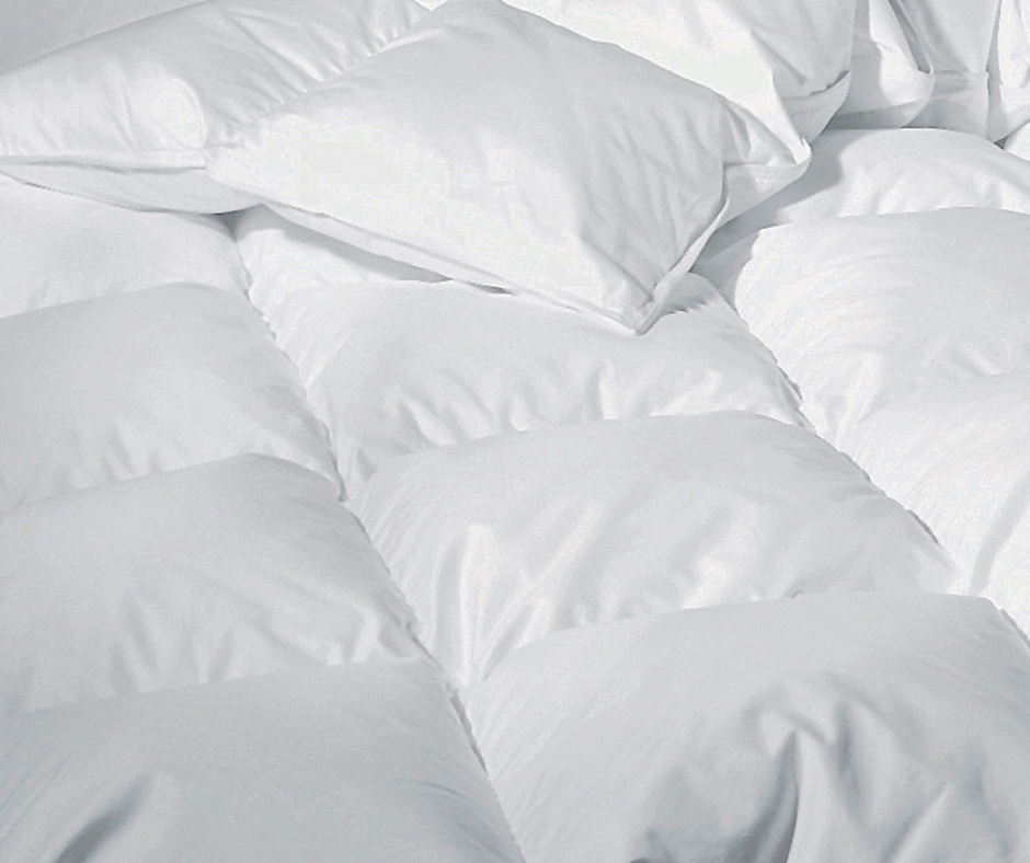 Sweet Dreams Down Winter Comforter