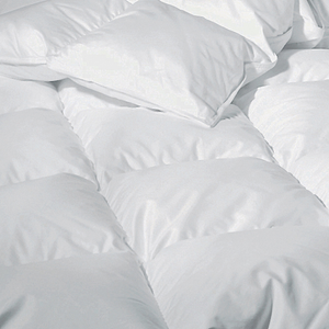 Sweet Dreams Down Winter Comforter
