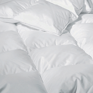 Sweet Dreams Down Winter Comforter