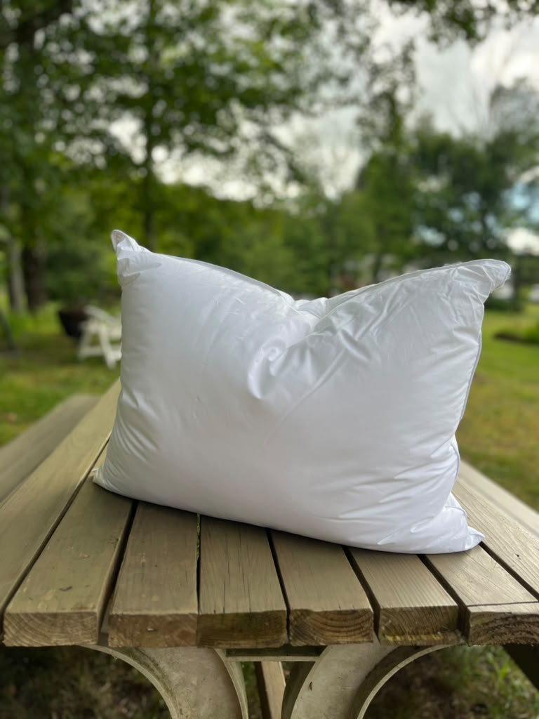 The Chameleon Pillow