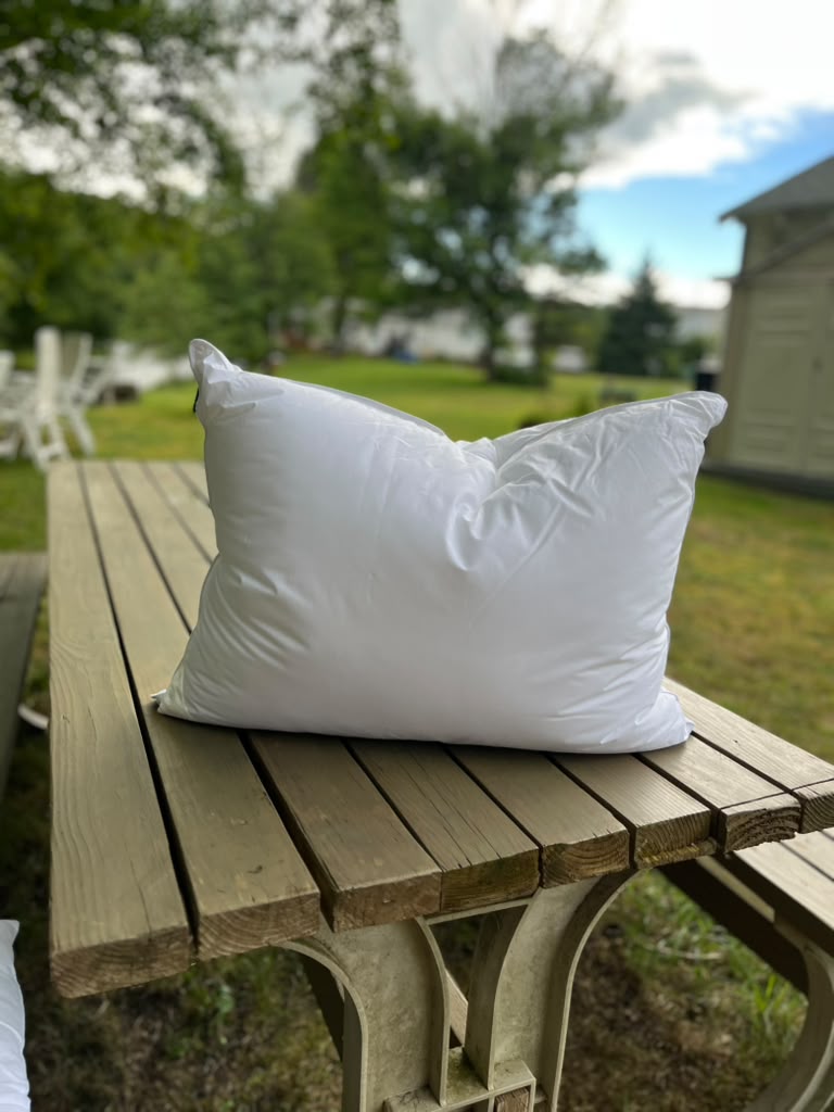The Chameleon Pillow