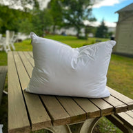 The Chameleon Pillow