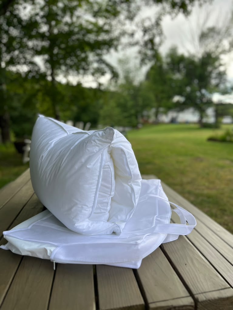 The Chameleon Pillow