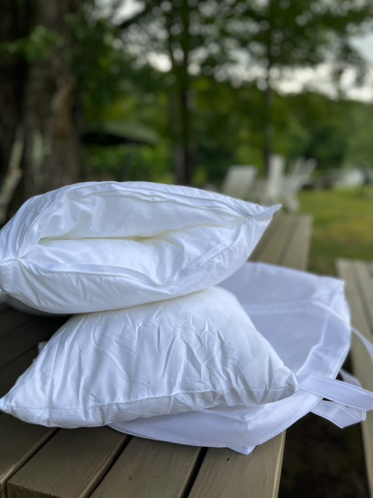The Chameleon Pillow