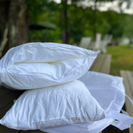 The Chameleon Pillow