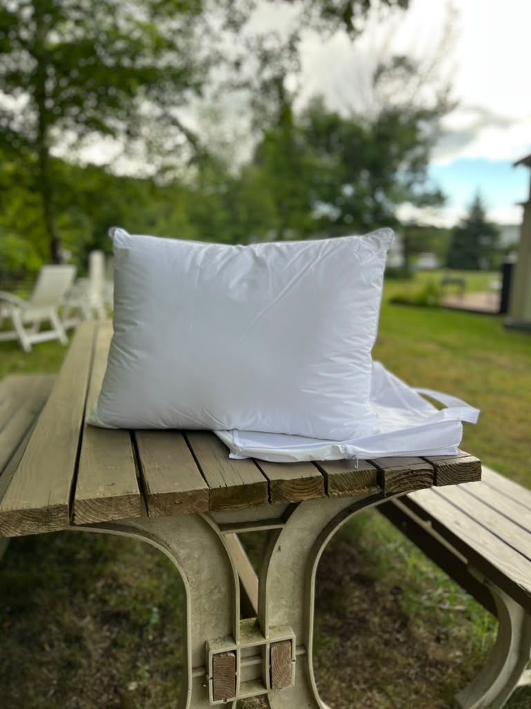The Chameleon Pillow