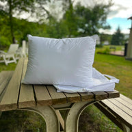 The Chameleon Pillow